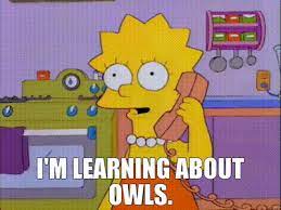Lisa Simpson is learning about owls.
