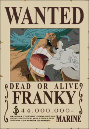 Franky Wanted Poster, Pre-Timeskip