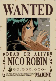 Robin Wanted Poster, Pre-Timeskip